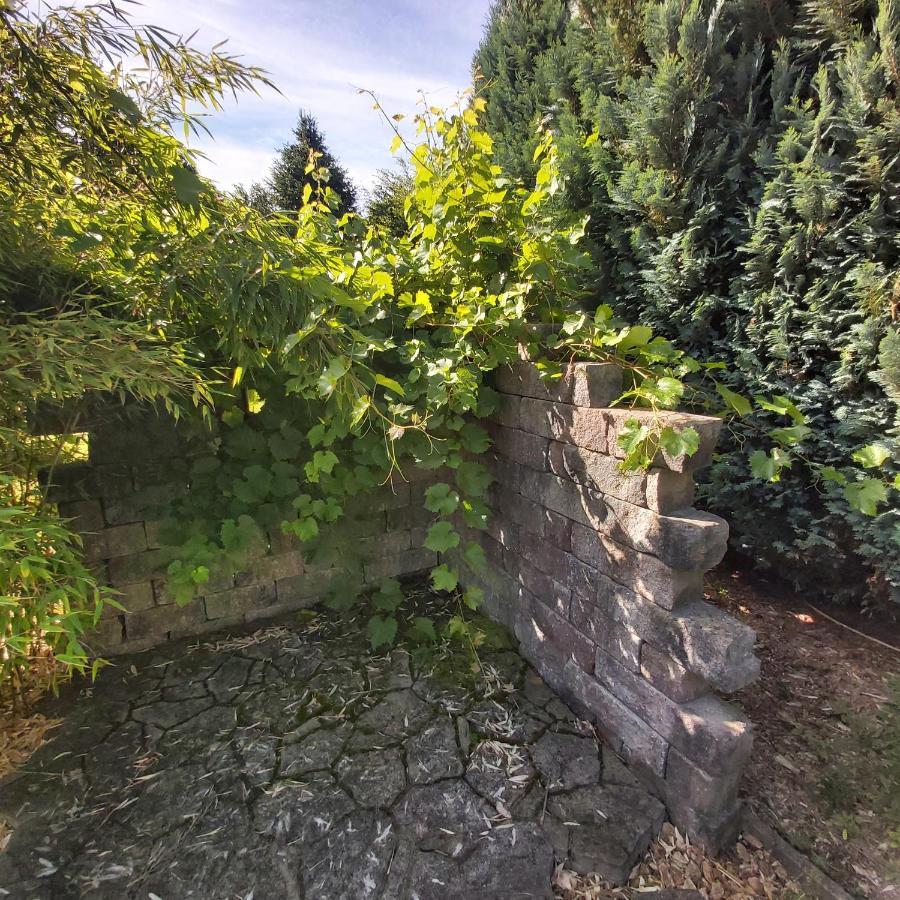 Apartment In Upper Floor In Nature Reserve. Hipstedt 外观 照片